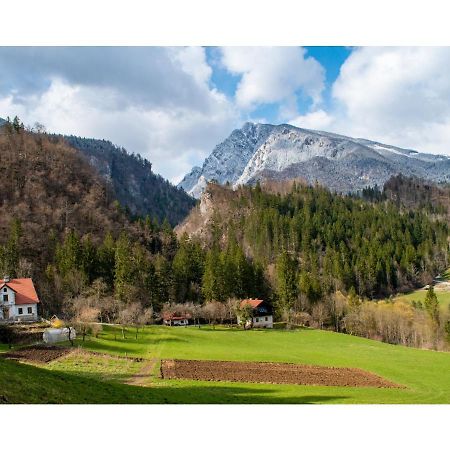 Turisticna Kmetija Stoglej Βίλα Luče Εξωτερικό φωτογραφία